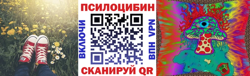 Псилоцибиновые грибы Magic Shrooms  Ефремов 